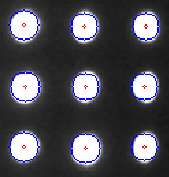 Sample: Segmented Microplate-wells (Pic shows a zoomed section of the microplate)