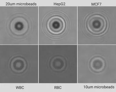 Cell-lines used in the project