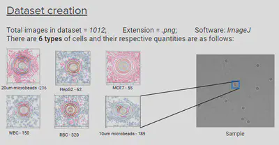 Cell-line EDA