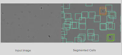 The segmentation involves bit-plane splicing, adaptive thresholding, and contour approximation to crop the cell-lines