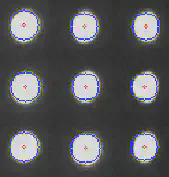 Sample: Segmented Microplate-wells (Pic shows a zoomed section of the microplate)